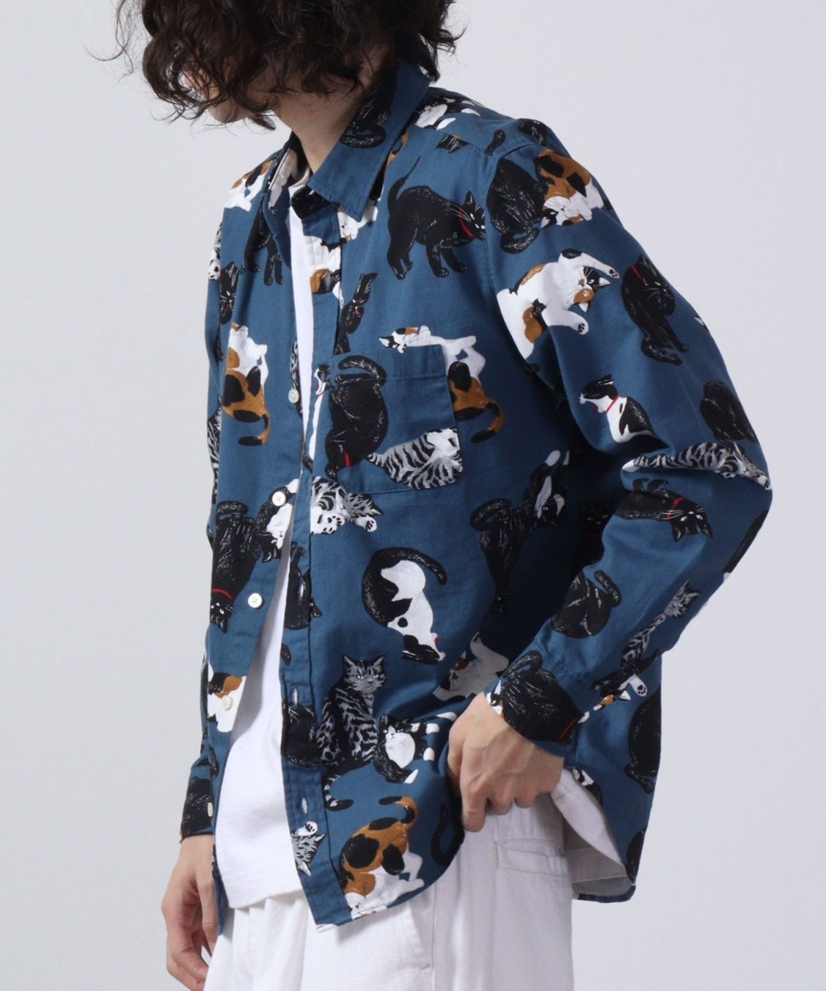 https://shinjuku.hands.net/item/111.jpg