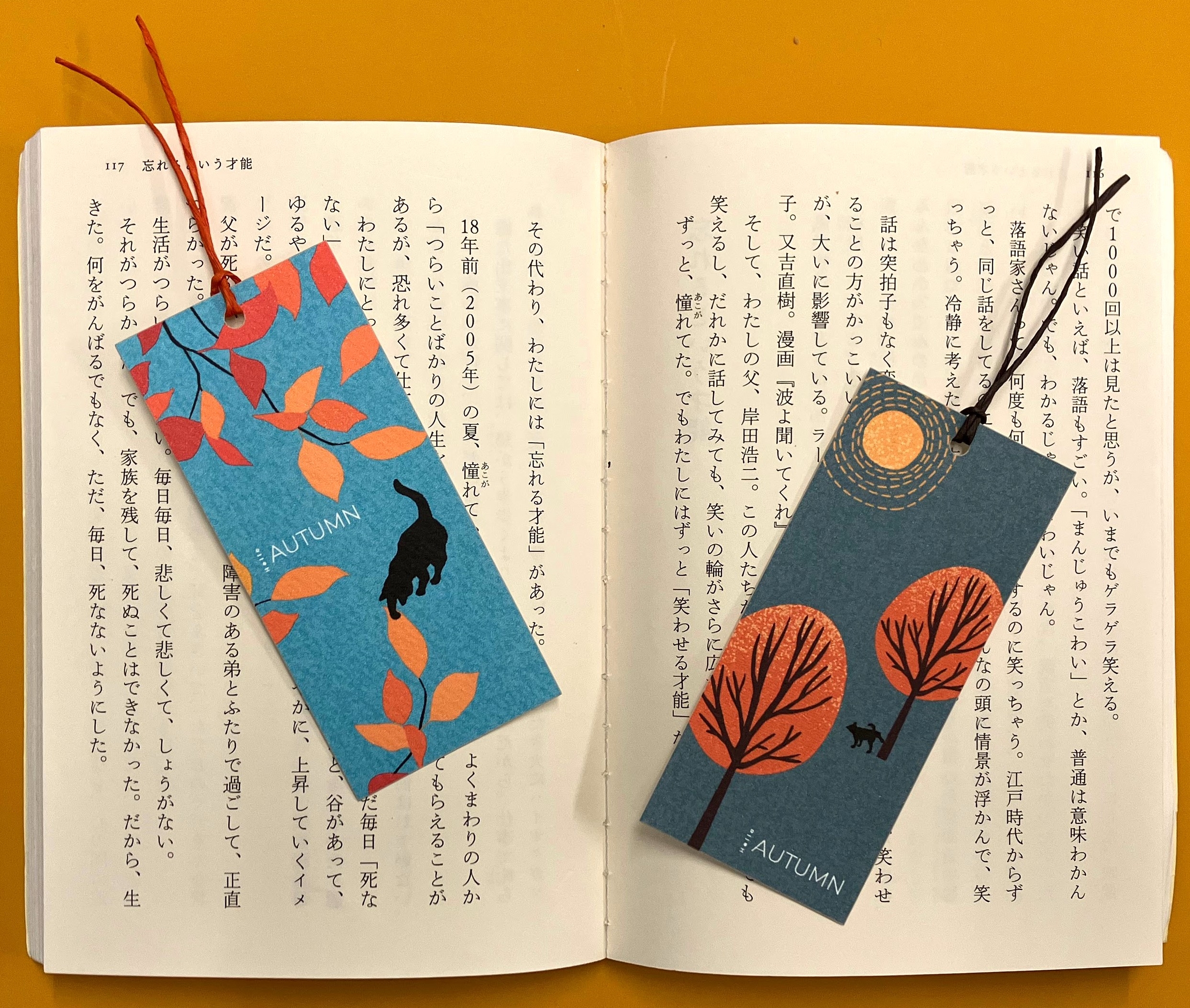 https://shinjuku.hands.net/item/2IMG_3432.jpg