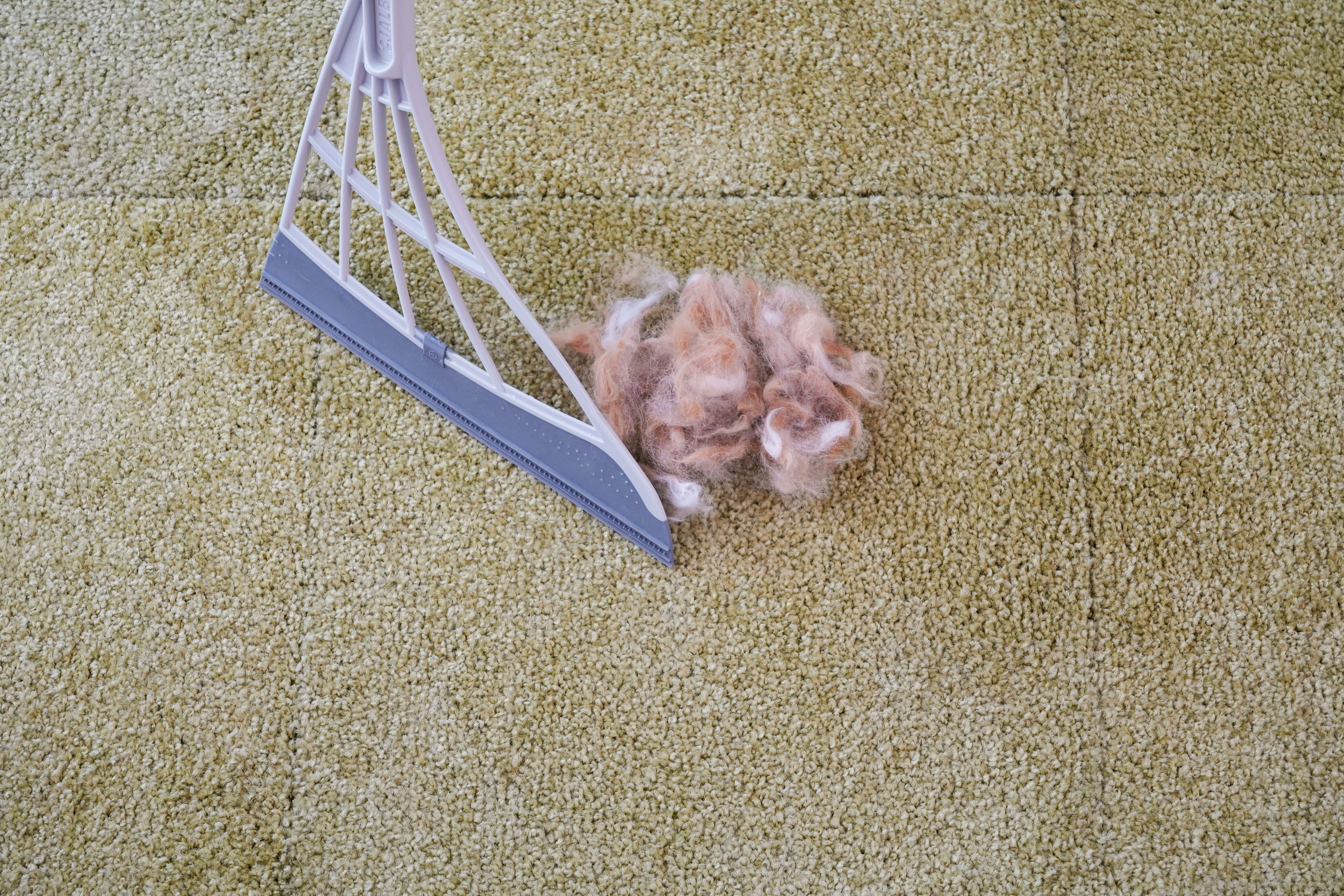 https://shinjuku.hands.net/item/4aec298d77c8bd1e0442019f4284379bec8dbaf2.jpg