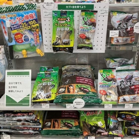【新宿店/5F】カブトムシの飼育グッズあります。