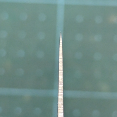 PXL_20241202_081151441.jpg
