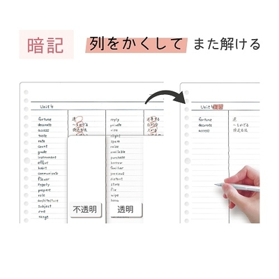 わけあり下敷34901478196980-2.jpg