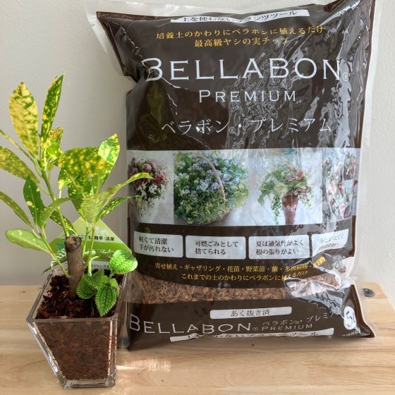 【新宿店/5F】ヤシの実を原料にした「ベラボン・プレミアム」