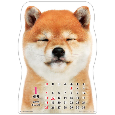 柴犬　中身２.jpg