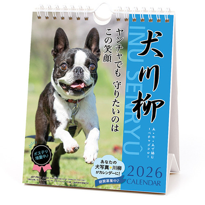 犬川柳ボストン表紙.jpg