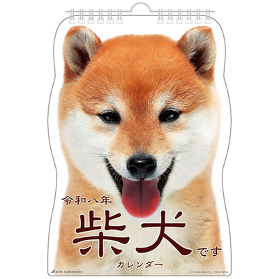 柴犬　表紙.jpg
