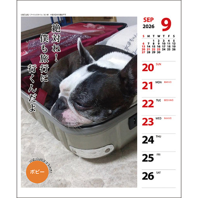犬川柳ボストン中身１.jpg