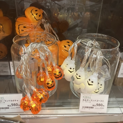 ハロウィン電飾IMG_0275.jpeg