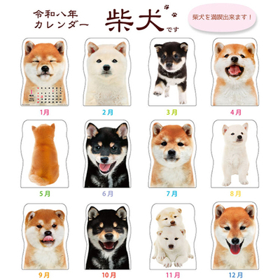 柴犬中身-4.jpg