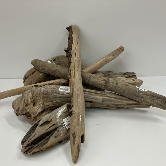 【新宿店/6F】流木で自分の世界をつくろう