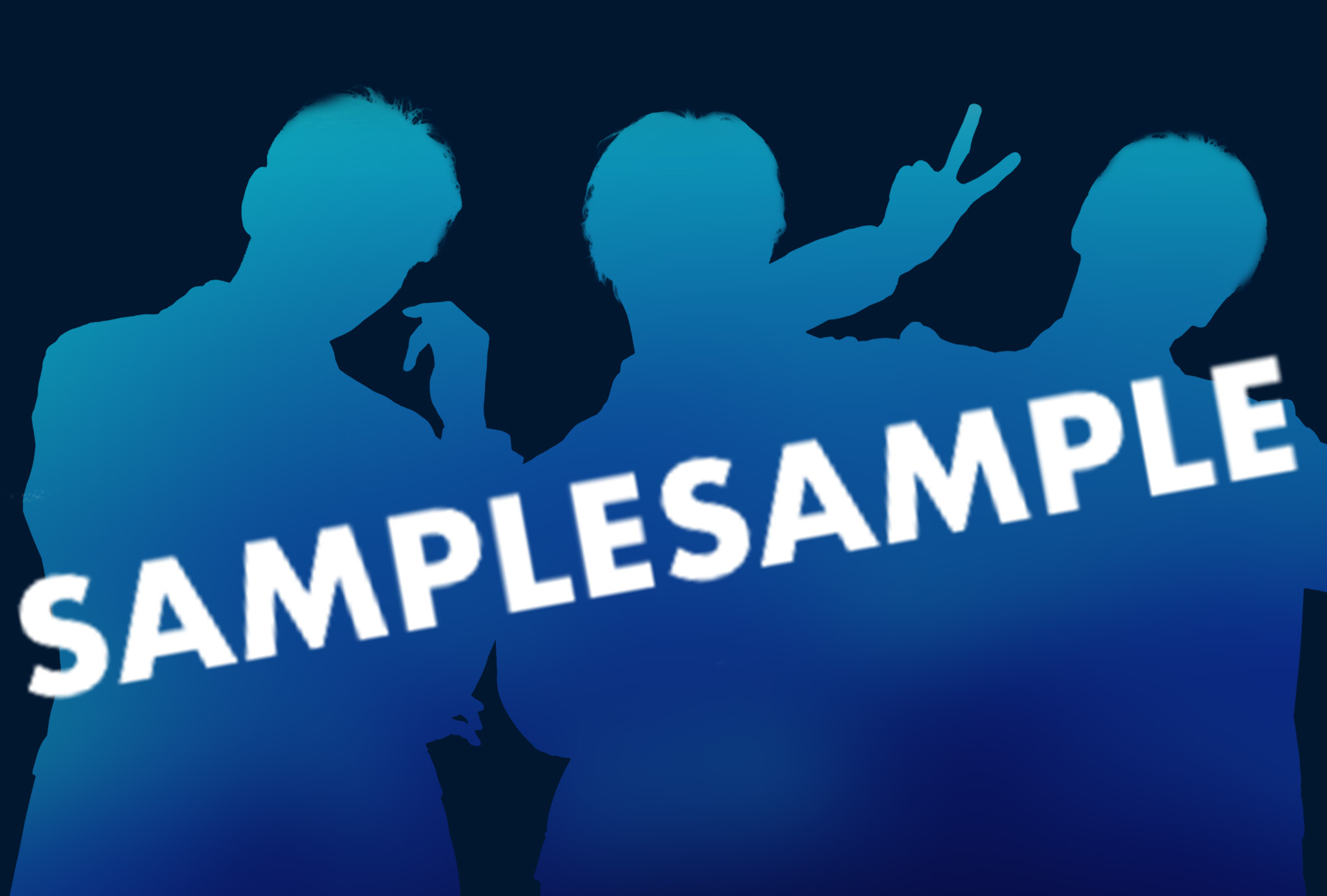 https://shinjuku.hands.net/item/post_sample_B.jpg